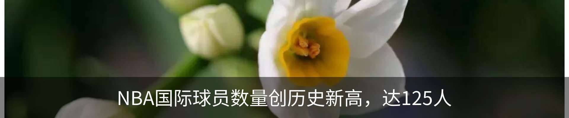 行业资讯